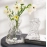 Elegant, minimalist, creative, irregular, homestay vase, transparent glass, living room table, flower arrangement, water nourishing decoration